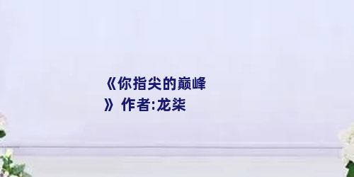 《你指尖的巅峰》 作者:龙柒